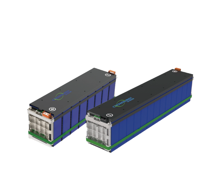 Energy storage battery module