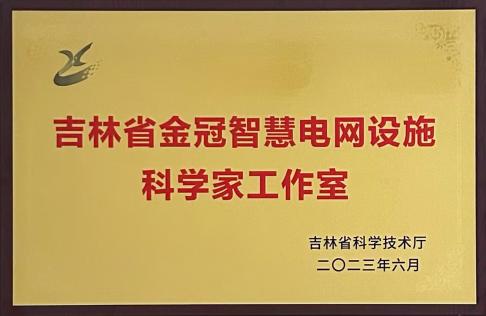 金冠股份箱变产品跻身国网供应商前列 以创新实力推动新型电力系统建设
