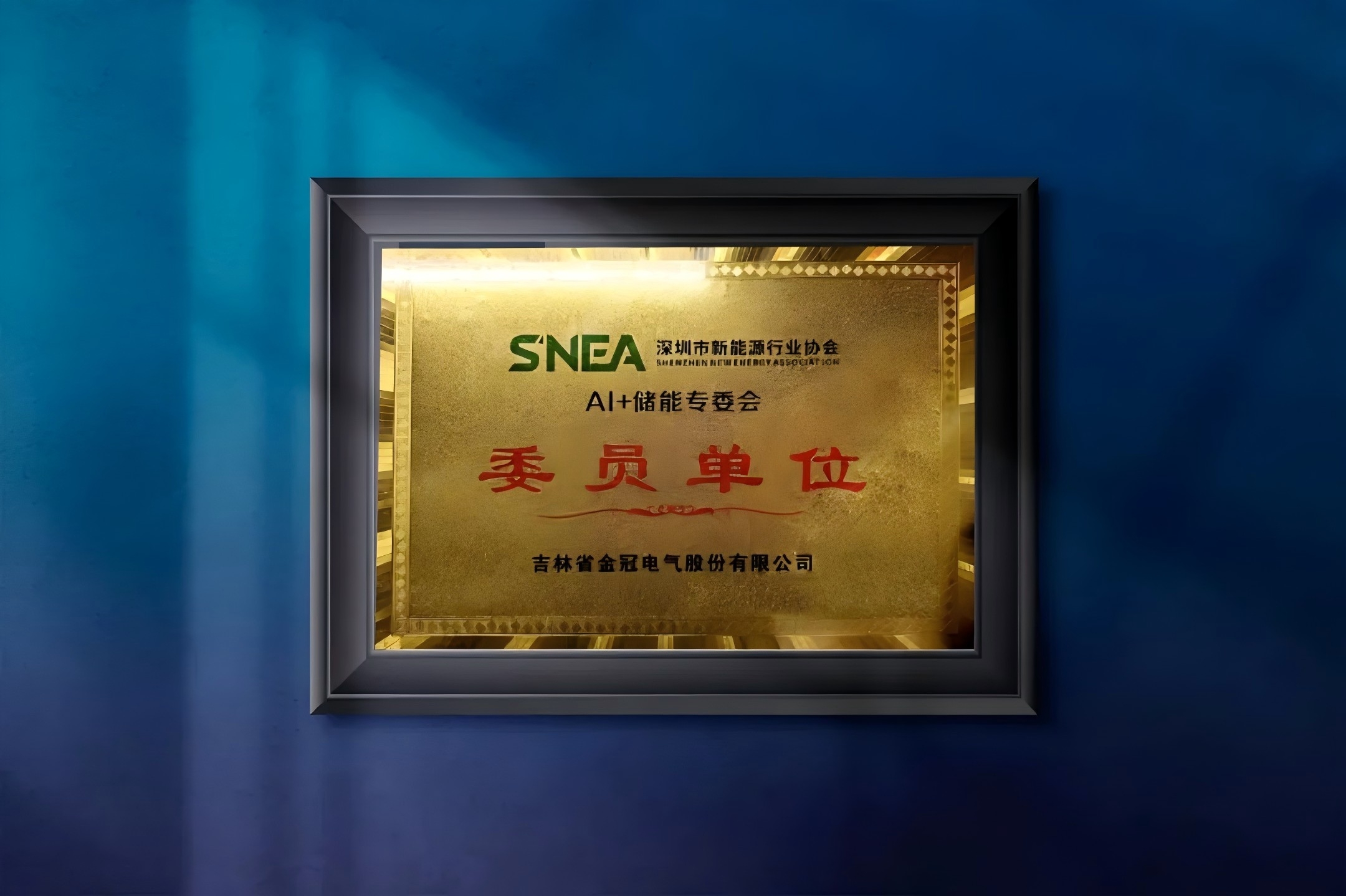 聚力“AI+储能”|金冠股份入选深圳市新能源行业协会“AI+储能”专委会委员单位 聚力“AI+储能”|金冠股份入选深圳市新能源行业协会“AI+储能”专委会委员单位